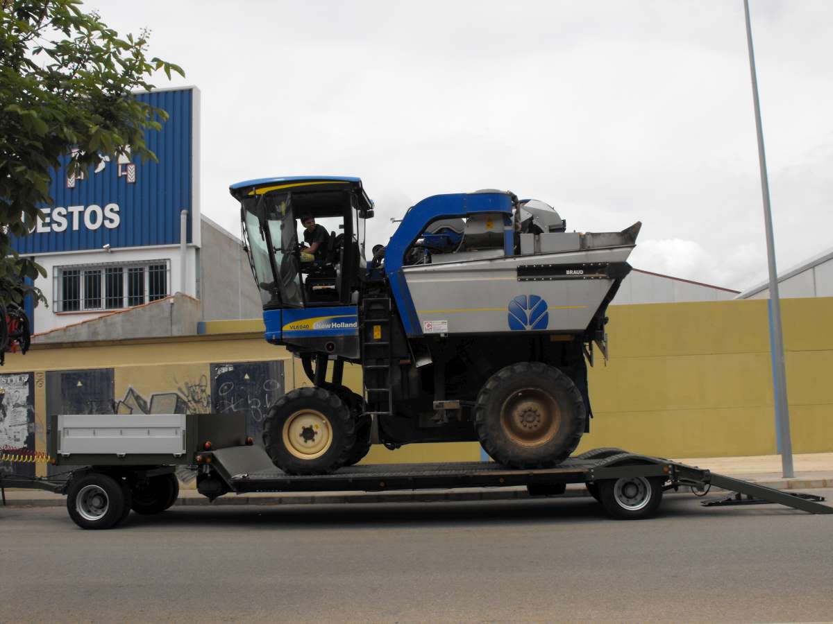 Escribe el texto a mostrar en la foto...